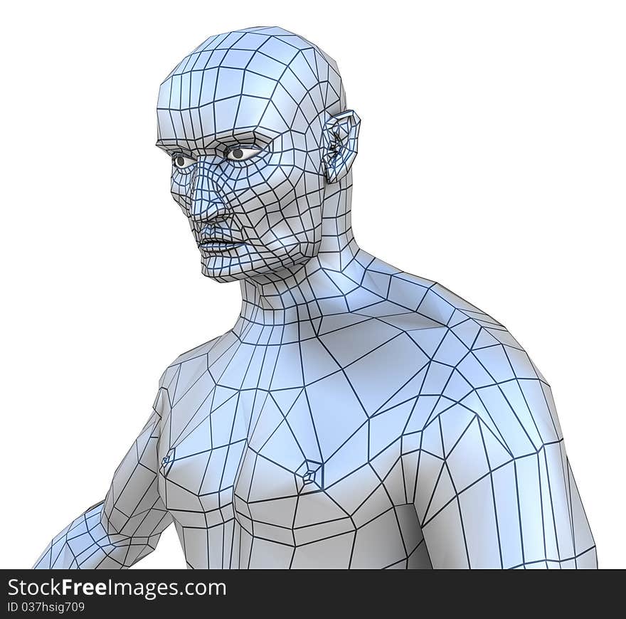 Human Male Mesh Torso With Head