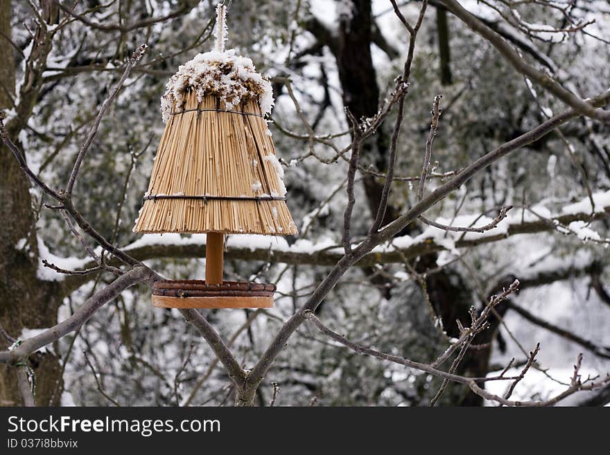 Bird house on the tree in winter time. Bird house on the tree in winter time.