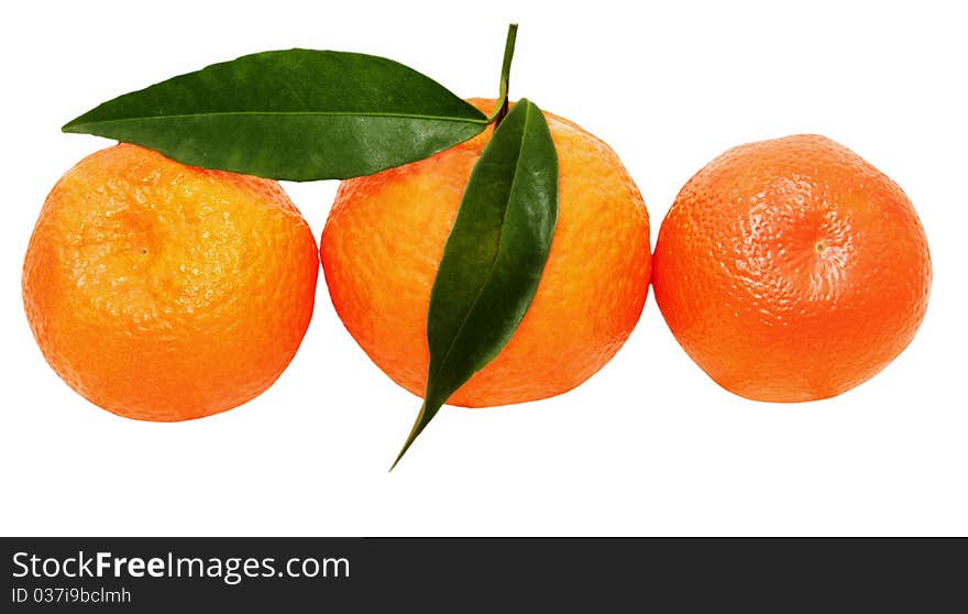 Three Mandarins