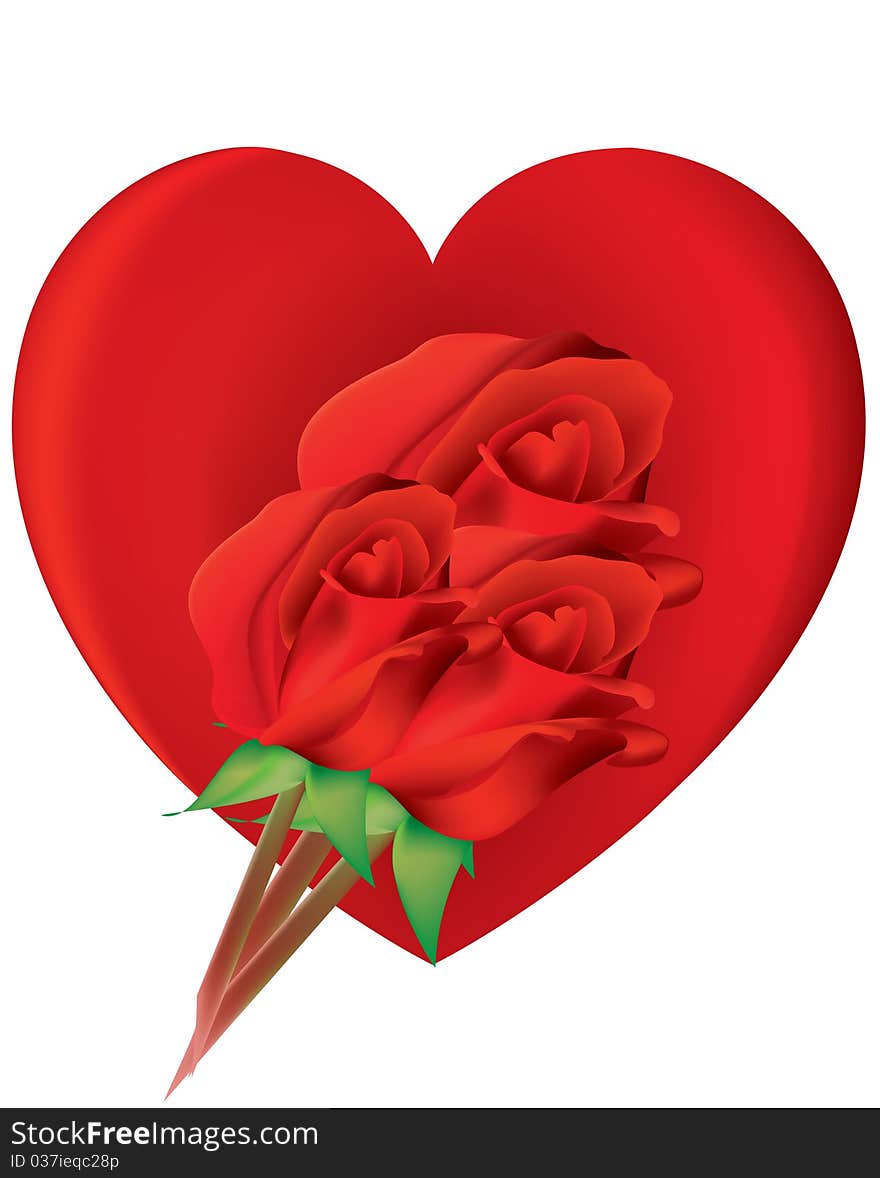 Valentine heart with three roses and white background. Valentine heart with three roses and white background