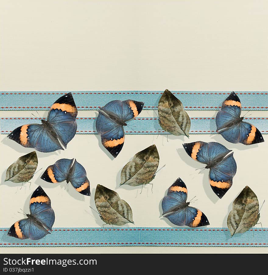 Butterfly and Ribbon border background. Butterfly and Ribbon border background.