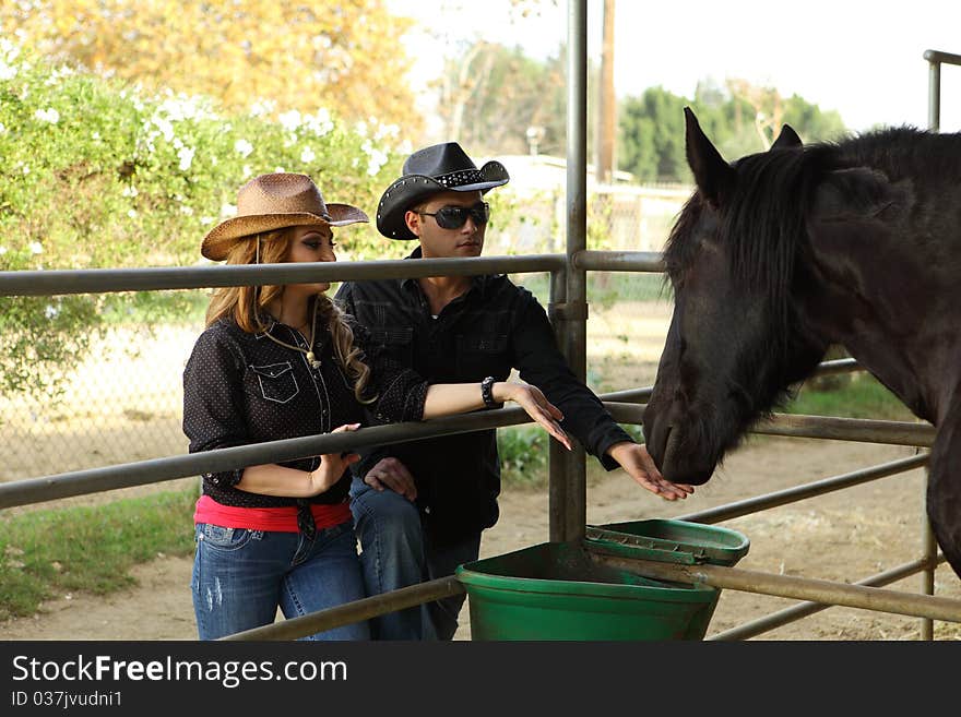 Couple Feeding A Black Horse