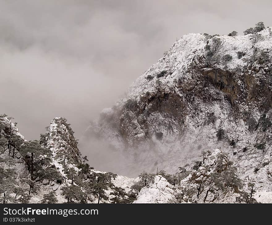 Snowy mountains with trees and fog. Snowy mountains with trees and fog.