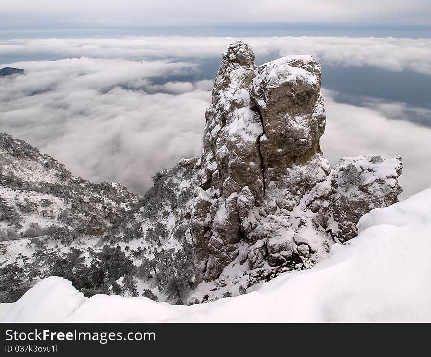 Snowy mountains with trees and fog. Snowy mountains with trees and fog.