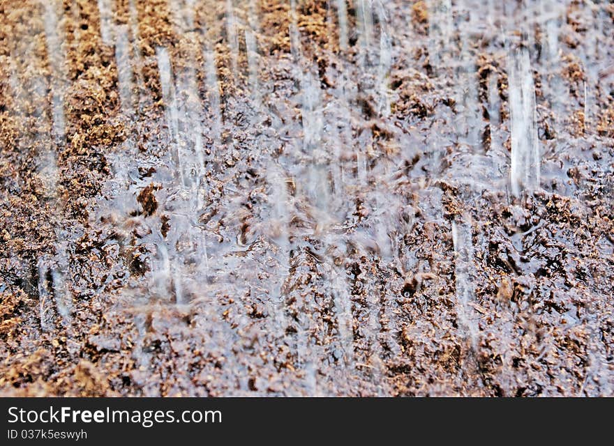 Rain on the turf soil.