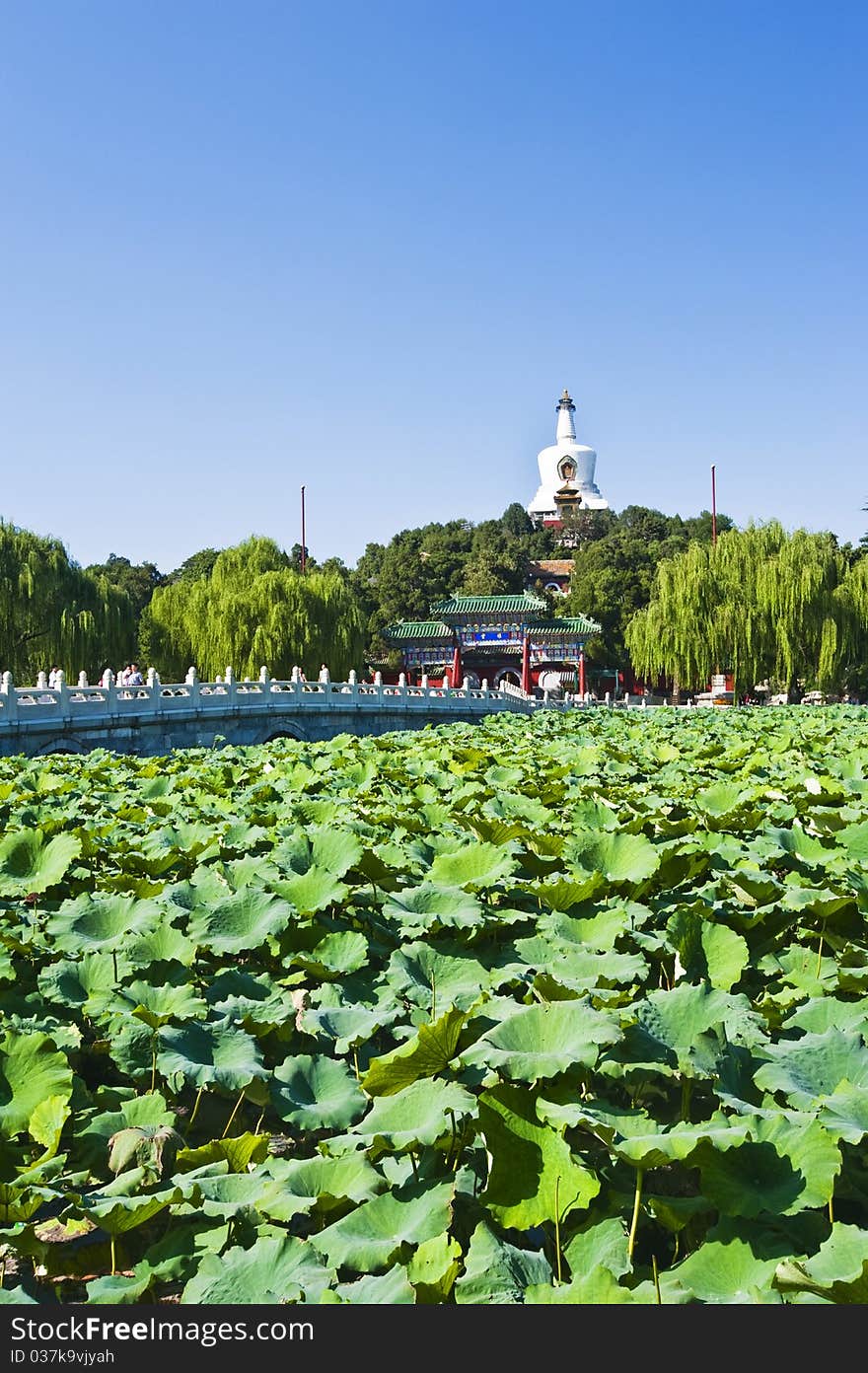 Beihai Park is located in central Beijing. It’s one of the oldest and most authentically preserved imperial gardens in China. It has a history of 1000 years. Beihai Park is located in central Beijing. It’s one of the oldest and most authentically preserved imperial gardens in China. It has a history of 1000 years.