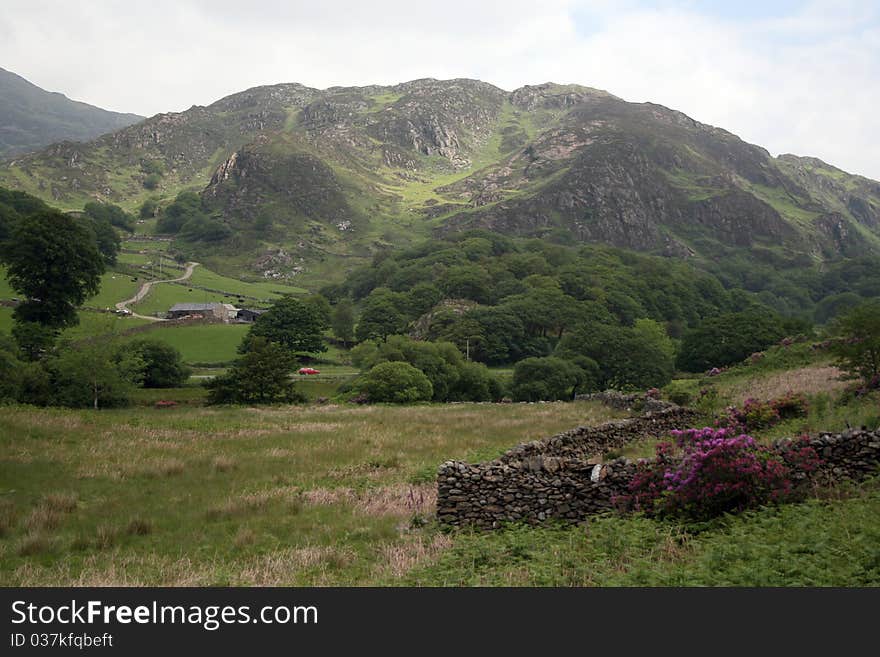 Llyn Dinas Valley Near Beddgelert