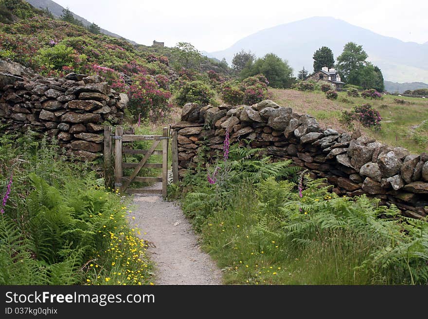 Llyn Dinas Valley near Beddgelert