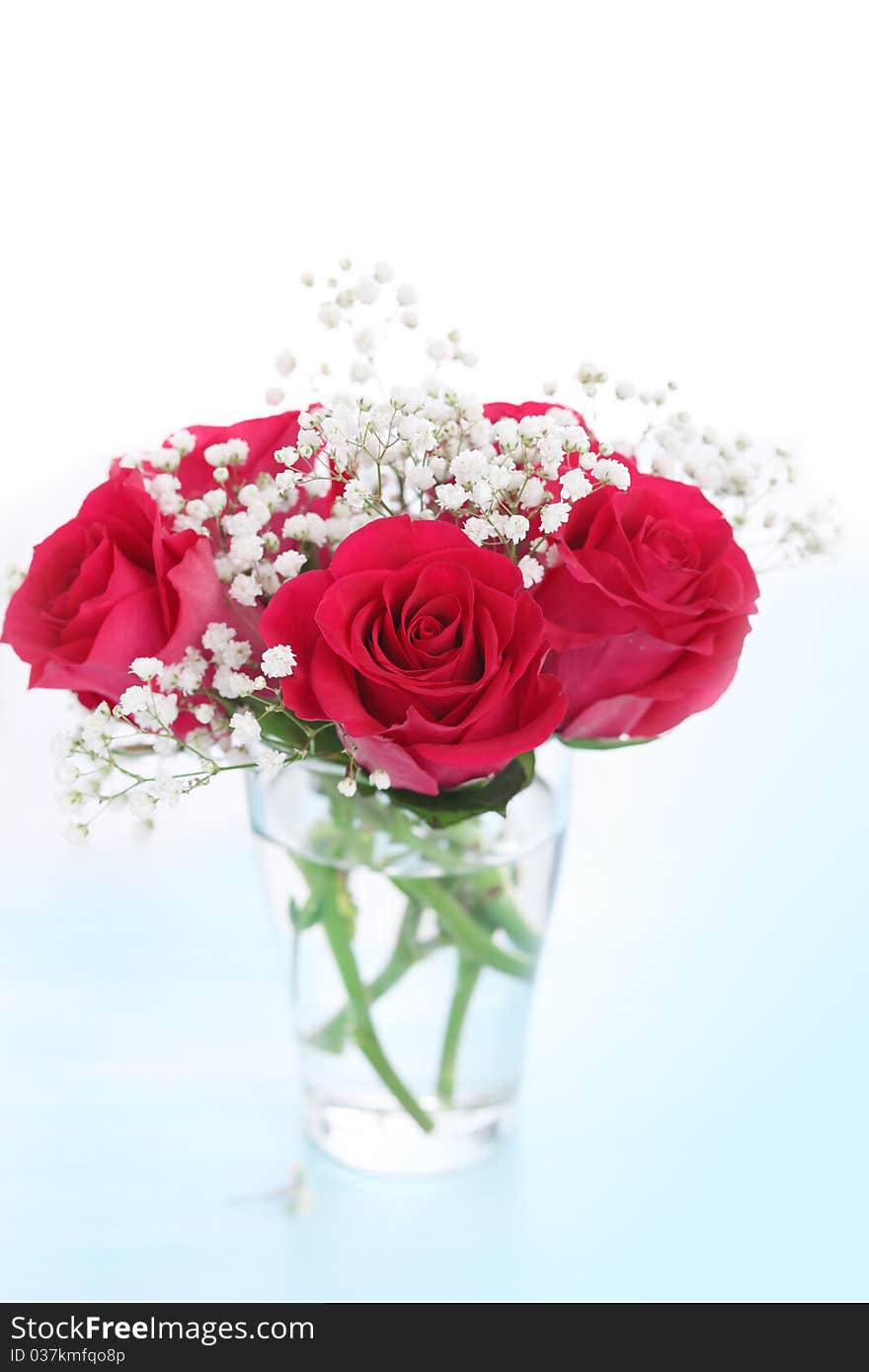 Bouquet of pink roses on white background