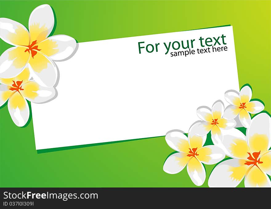 Beautiful Floral background (white flowers on green)