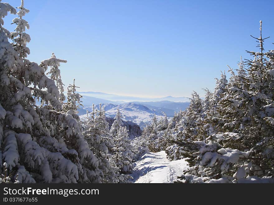 Carpathian Winter