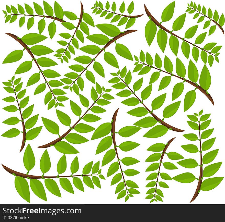 Green leaves background. Vector illustration. Green leaves background. Vector illustration