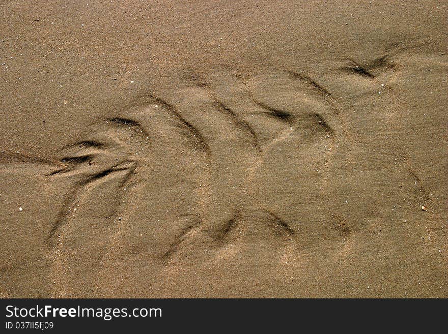 Ripples in sand