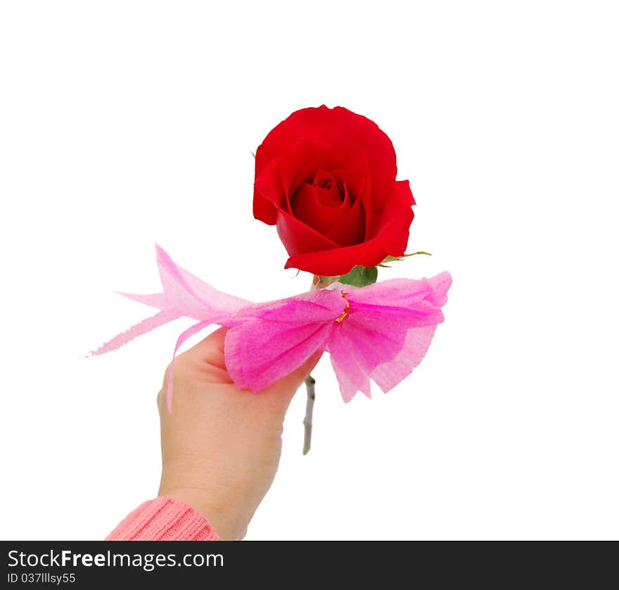 Woman holding rose in the hand as a gift