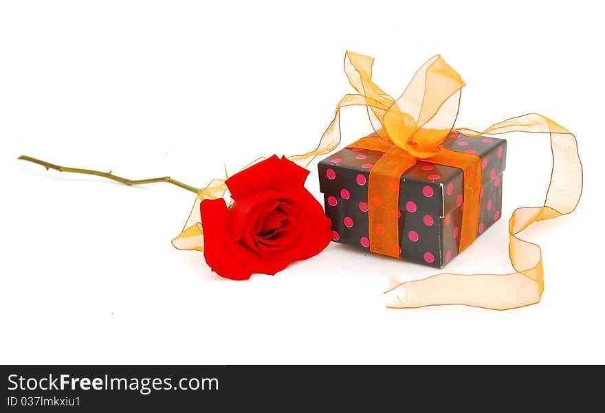 Gift Isolated On White Red Rose