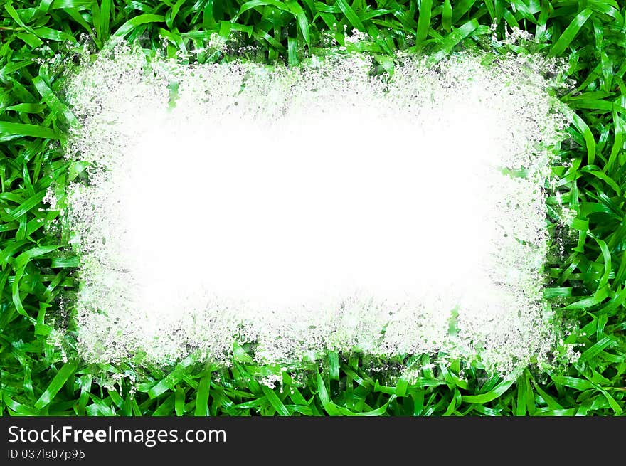 Green grass isolated on white