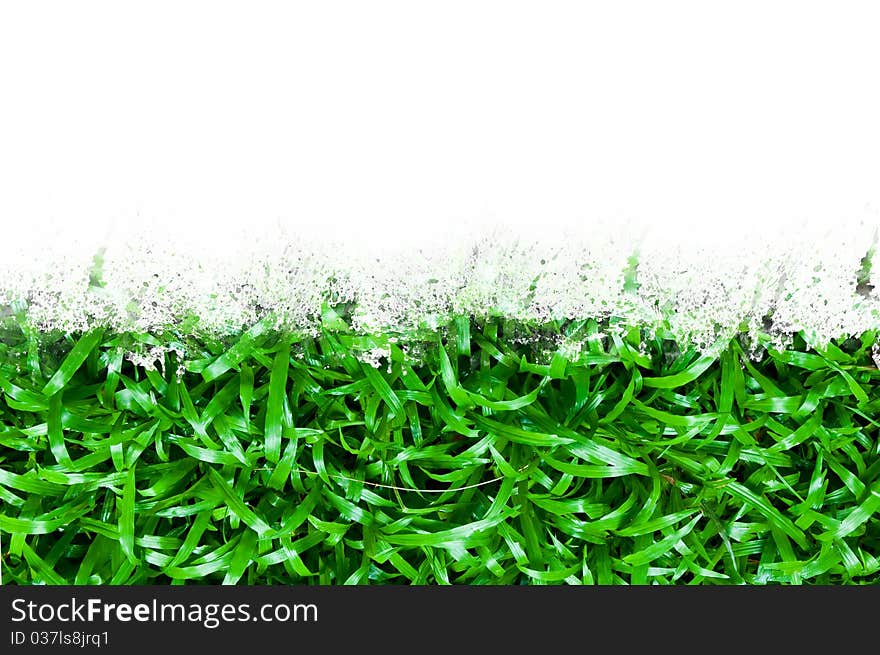 Green grass