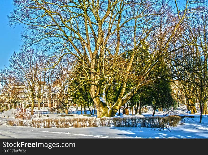 Sunny winter day park HDR. Sunny winter day park HDR