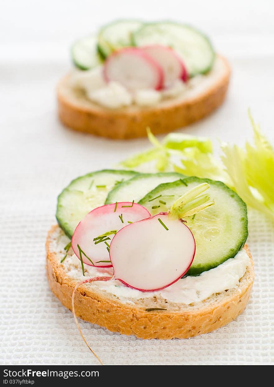 Healthy sandwich with
 cottage cheese, radish and cucumber