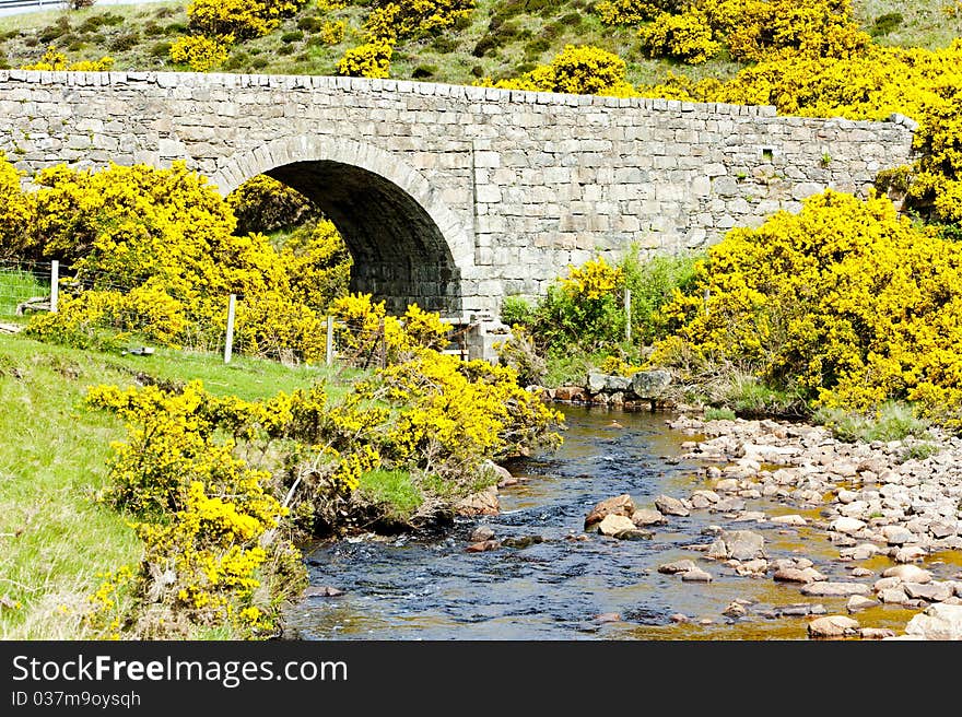 Bridge in Scotland