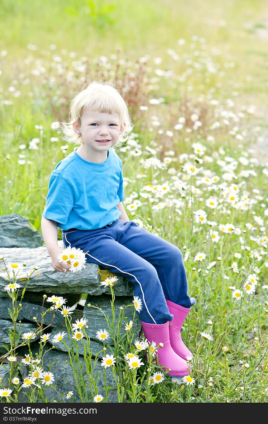 Little girl sitting on summer meadow in blossom. Little girl sitting on summer meadow in blossom