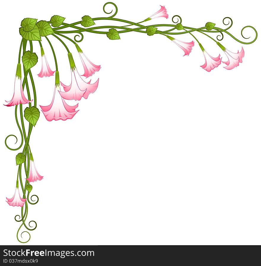 Background with beautiful pink lilies