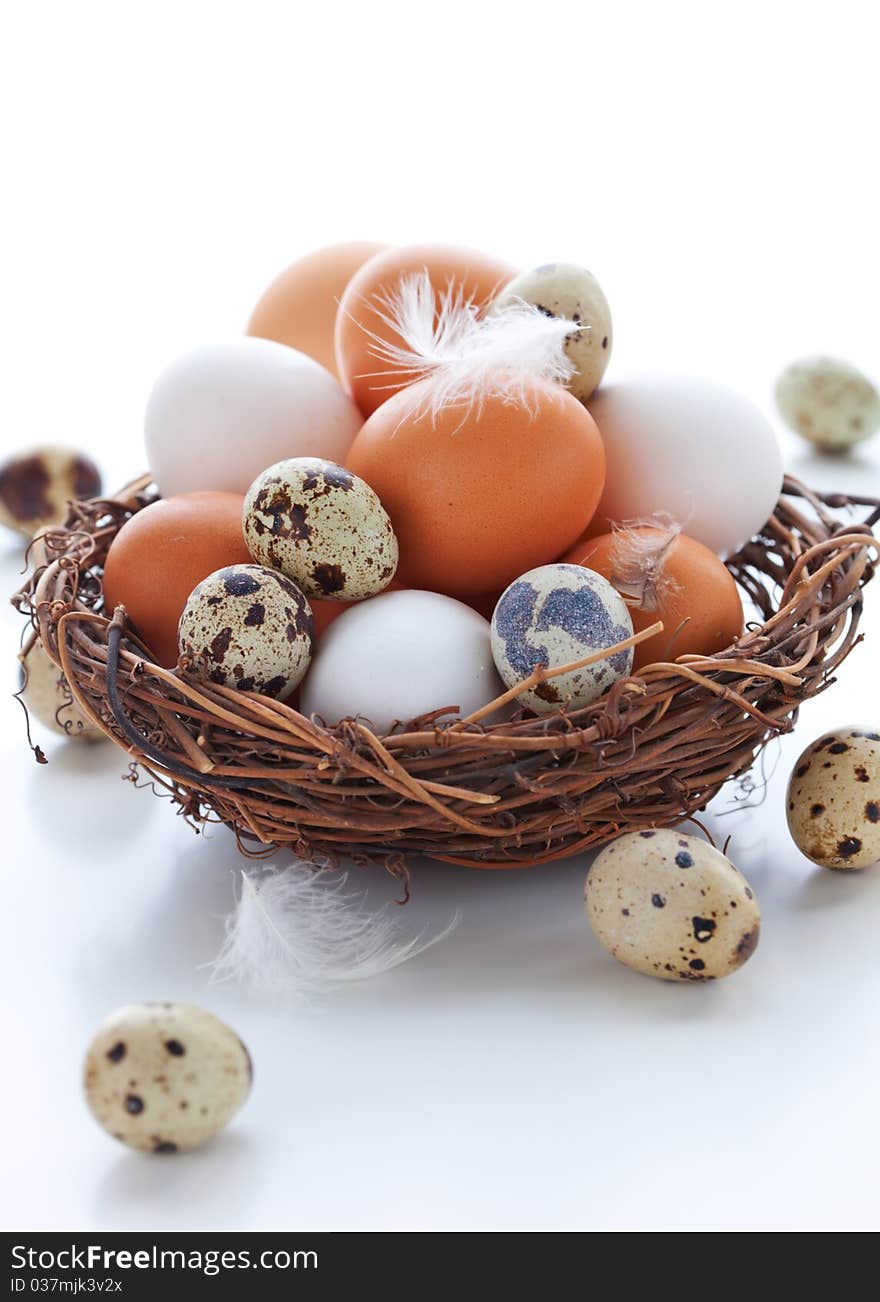 Eggs In A  Nest On A White Background