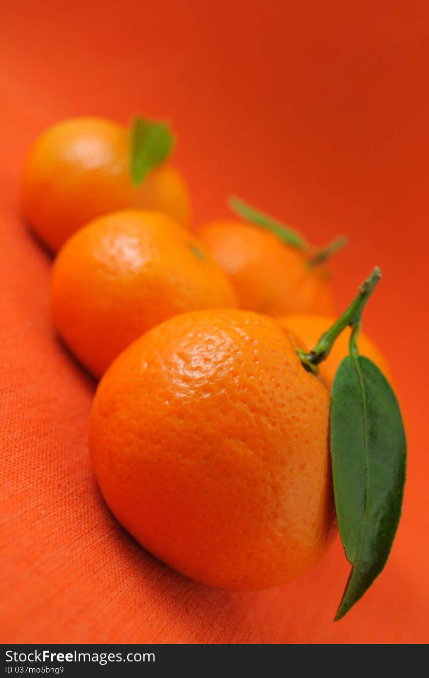 Several mandarins and leaves on orange background. Several mandarins and leaves on orange background