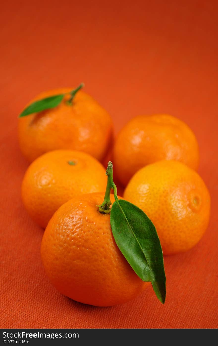 Several mandarins and leaves on orange background. Several mandarins and leaves on orange background