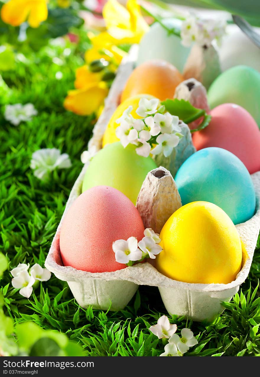 Colored Easter Eggs in an egg box on grass. Colored Easter Eggs in an egg box on grass