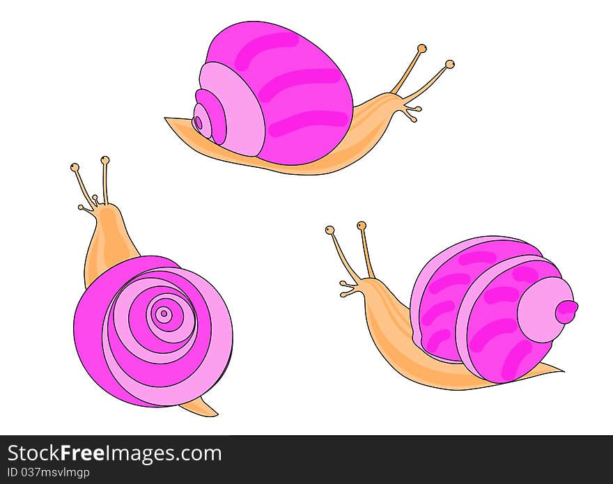 Three pink snail