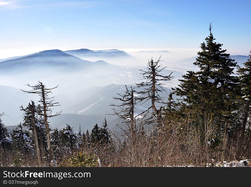 Misty fog in Beskydy mountains