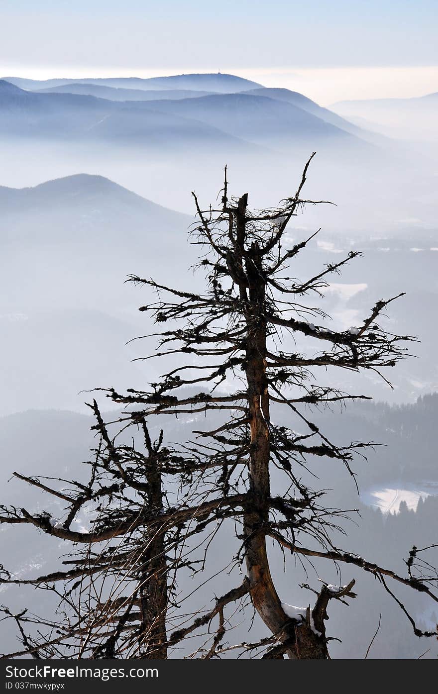 Misty fog in Beskydy mountains