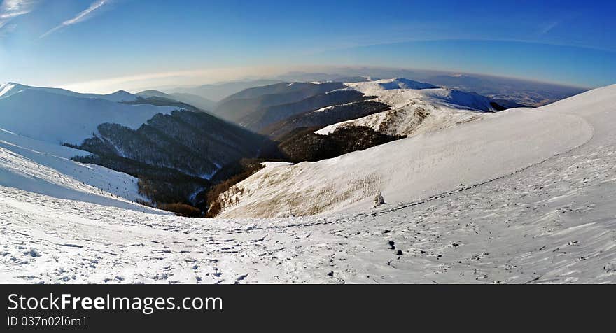 Snowy mountain ridges with fir tree forest. Carpathian mountains. Polonyna Borzhava. Zakarpattya. Ukraine