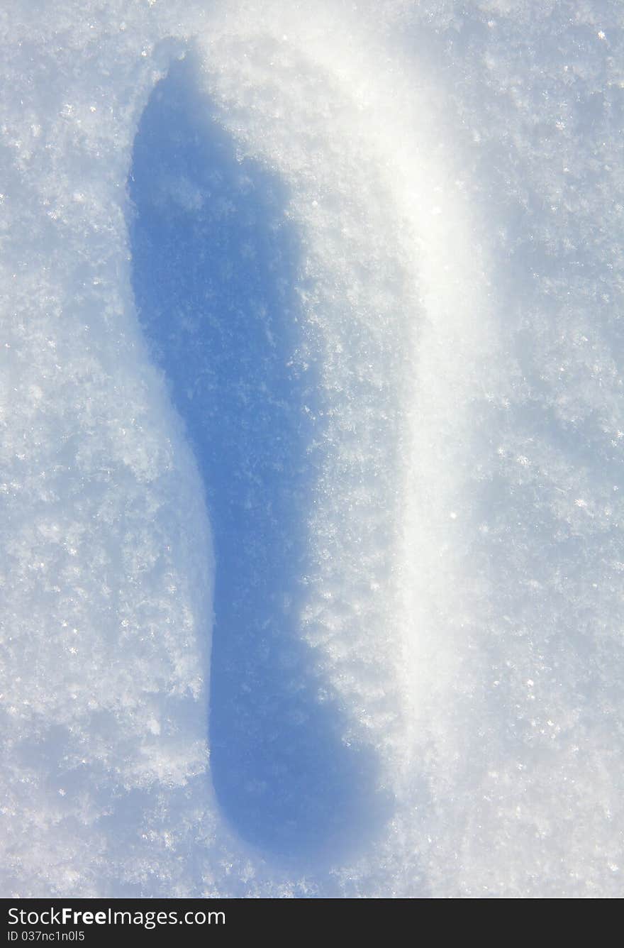 Footprints in the fresh snow