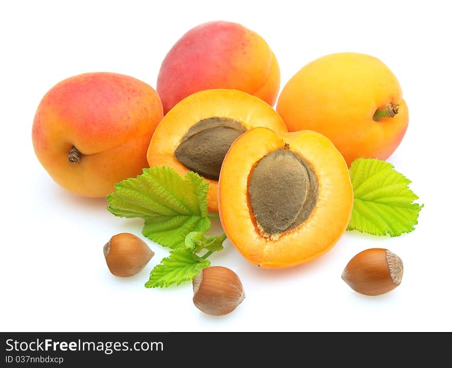 Apricots and nuts on white background