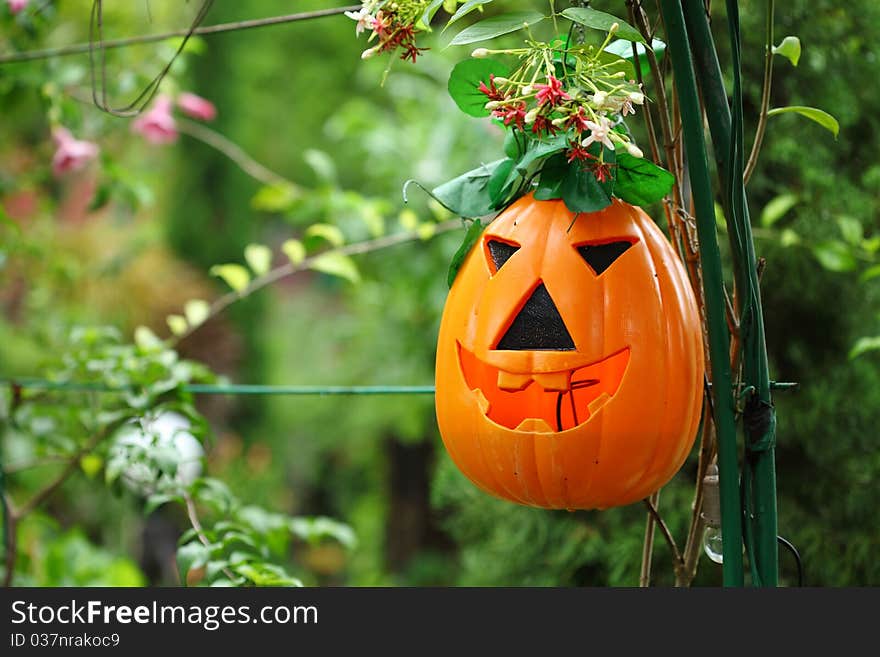 Halloween Pumpkin plastic color orange