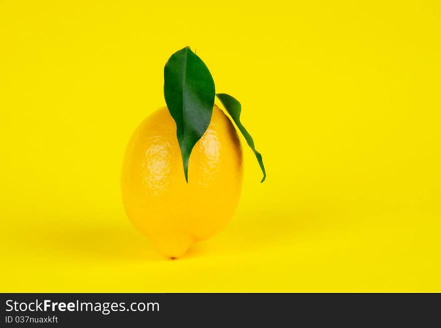 Fresh lemon on the yellow background.