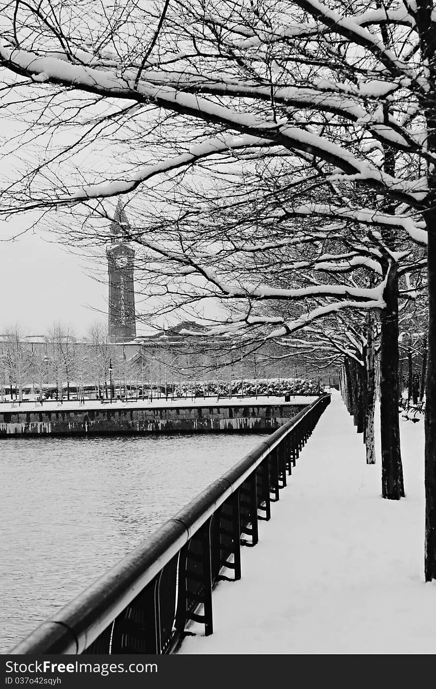 Trees covered with snow with a Hoboken clock tower in the background. Trees covered with snow with a Hoboken clock tower in the background