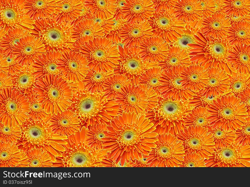 Single orange flowertiles texture background