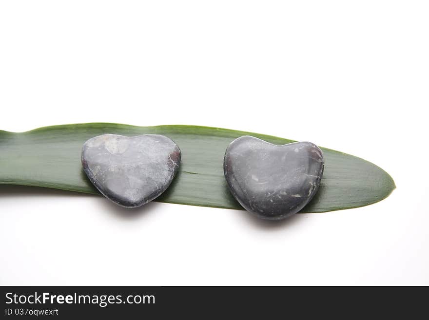 Plant Leaf With Stone