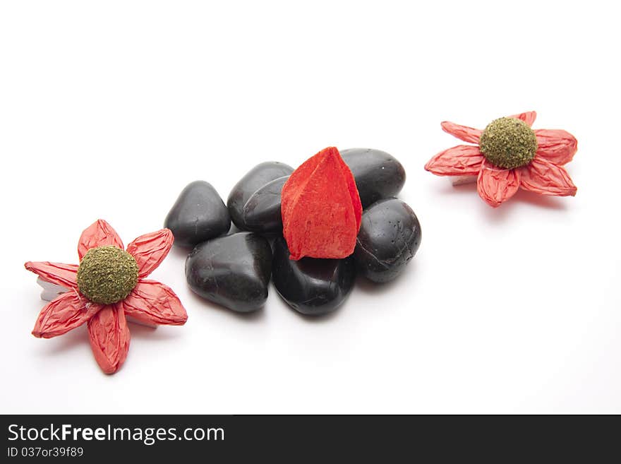 Flower blossom onto black stones