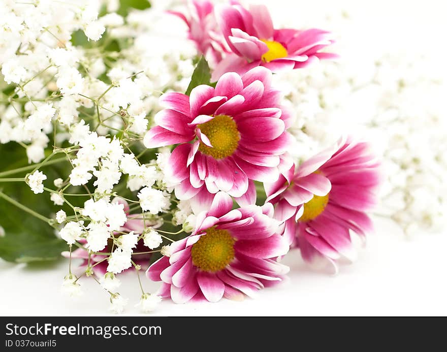 Bouquet chrysanthemums flowers closeup on white background. Bouquet chrysanthemums flowers closeup on white background