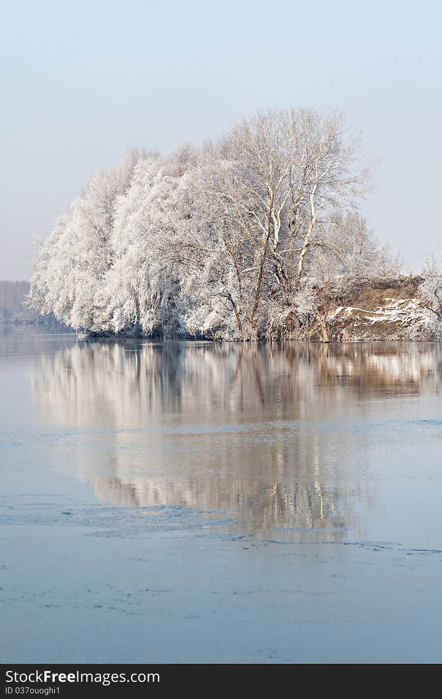 Winter reflection of trees in the frozen lake. Winter reflection of trees in the frozen lake