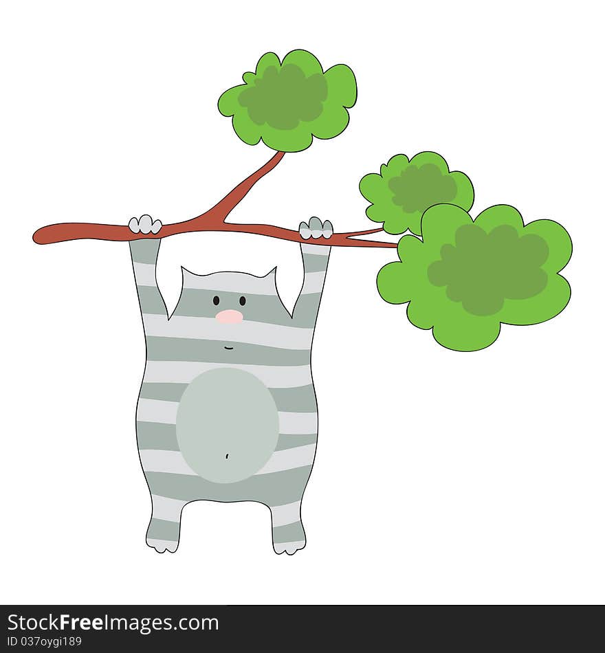 A fat cat, hanging on a tree. A fat cat, hanging on a tree