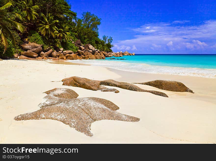 Tropical beach at island Praslin, Seychelles