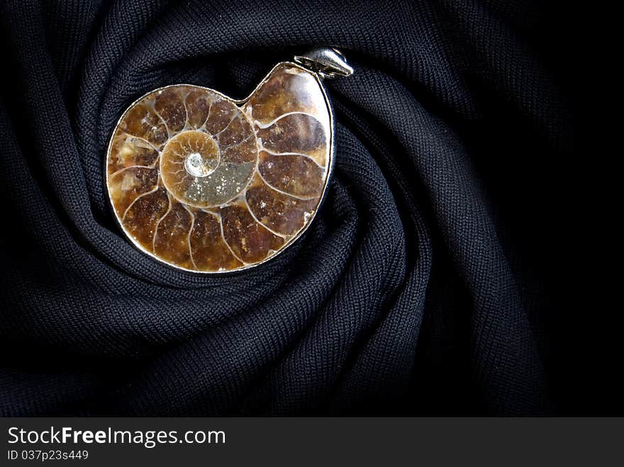 Ammonite conch on the black spiral background