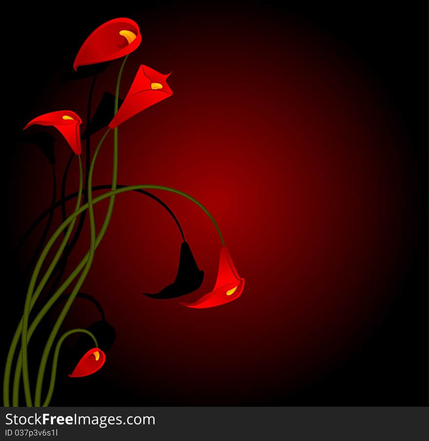 Beautiful tropical red lillies. illustration for a design