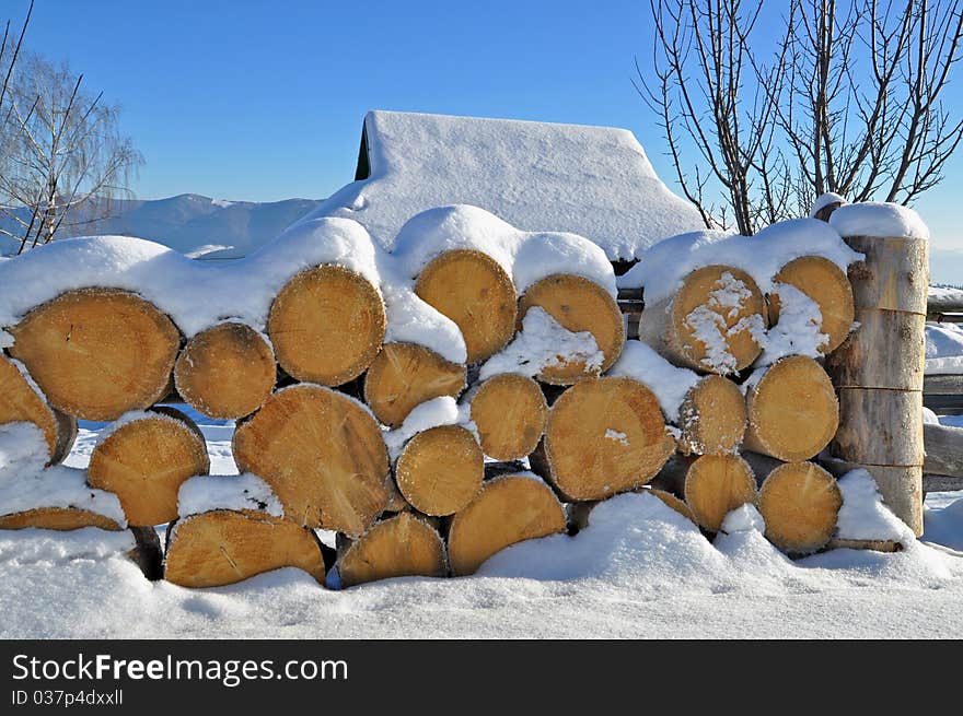 Fire wood under snow