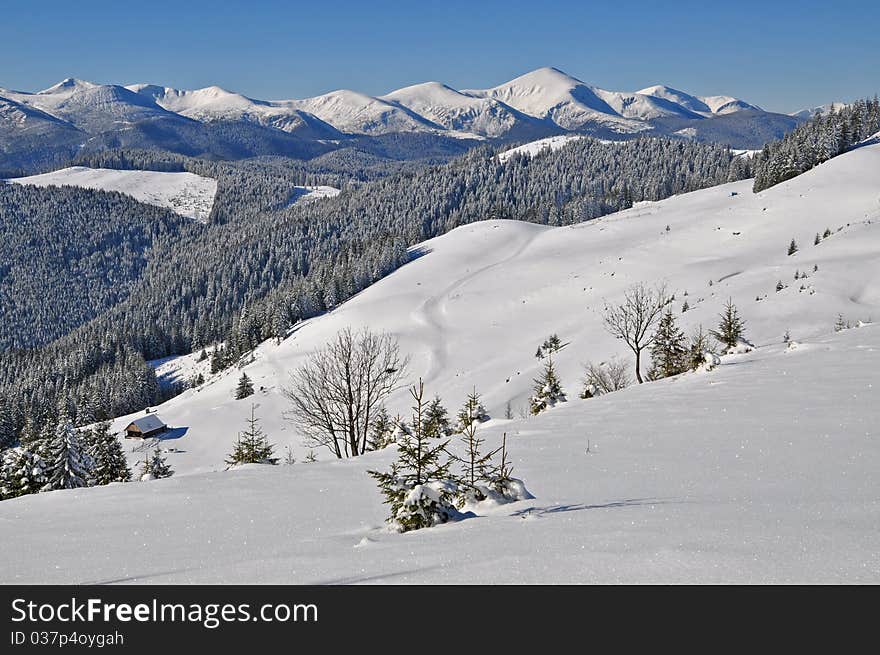 Winter On A Hillside.